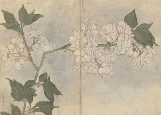 Ariyoshi Kondo - Sketchbook Pl105.webp