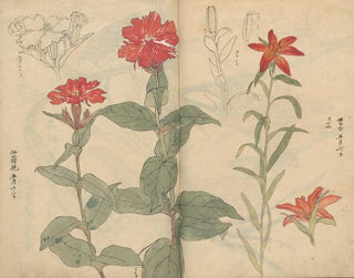 Ariyoshi Kondo - Sketchbook Pl111.webp