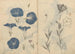 Muistiinpanovälineet Pl112 - Ariyoshi Kondo — näkymä teoksesta