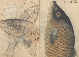 Ariyoshi Kondo - Sketchbook Pl113.webp