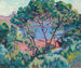 La Baie d'Agay - Armand Guillaumin — näkymä teoksesta