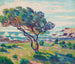 Etelän maisemasta Bruscista katsottuna - Armand Guillaumin — näkymä teoksesta