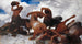 Bataille du Centaure - Arnold Böcklin — näkymä teoksesta