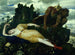 Diane uneksissa ja valvovana kahden faunin toimesta - Arnold Böcklin — näkymä teoksesta