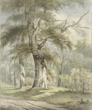 Arnoldus Johannes Eymer - Bosgezicht.webp