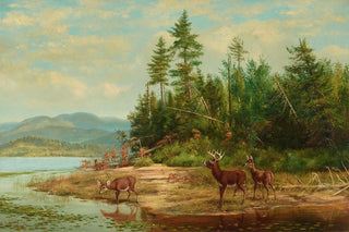 Arthur Fitzwilliam Tait - View on Long Lake.webp