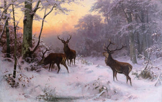 Arthur Thiele - Wild im Winterwald.webp