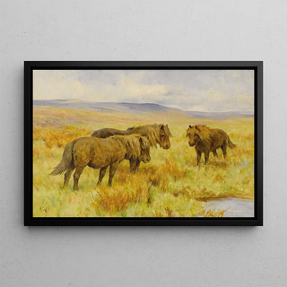 Arthur Wardle - Shetland Ponies.webp