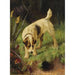 Maalauksen jäljennös Terrier-maalaus - Arthur Wardle