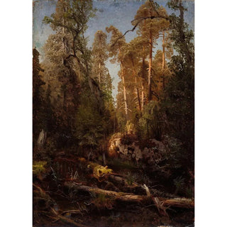 August Cappelen - Forest Study.webp
