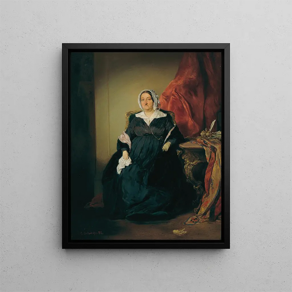 Elisabeth Imrdy Edle von Omorovicze - August von Pettenkofen — kehystetty taideteos seinällä