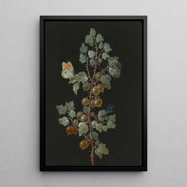 Barbara Regina Dietzsch - A Branch of Gooseberries with a Dragonfly an OrangeTip Butterfly and a Caterpillar.webp