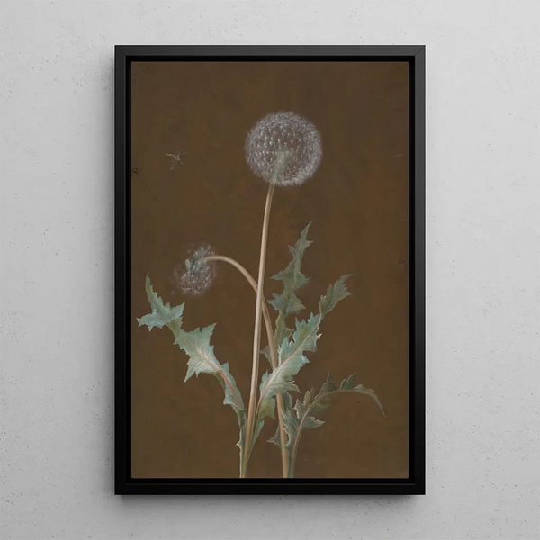 Barbara Regina Dietzsch - Dandelion.webp