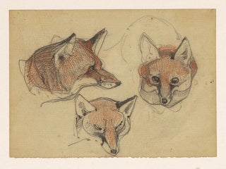 Trois têtes de renard - Bernard Willem Wierink — näkymä teoksesta