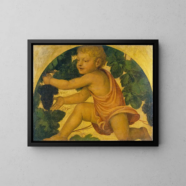 Putto cueillant des raisins - Bernardino Luini — kehystetty taideteos seinällä