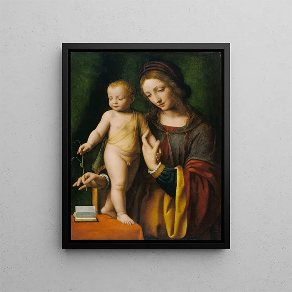 La Vierge à l'Enfant avec une Colombine - Bernardino Luini — kehystetty taideteos seinällä
