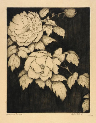 Bertha Jaques - Japanese Peonies.webp