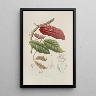Berthe Hoola van Nooten - Fleurs fruits et feuillages choisis de lille de Java Pl04.webp