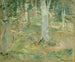 Fort de Compiègne - Berthe Morisot — näkymä teoksesta