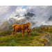 Maalauksen jäljennös Highland-häränmaalaus - Rosa Bonheur