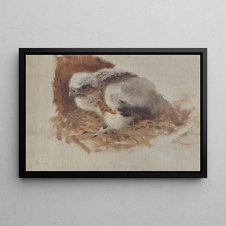 Bruno Liljefors - Detail Study of a Peregrine Falcons Nest.webp