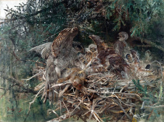 Bruno Liljefors - Hawks Nest.webp