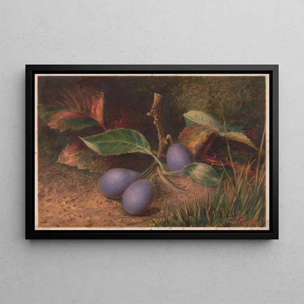 C Ryan - Grapes.webp