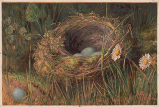 C Ryan - The Hedge sparrows mansion.webp