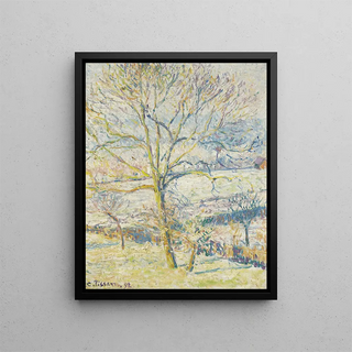 Camille Pissarro - Le Grand Noyer Gele Blanche ragny.webp