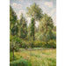 Erägnyn poppelit - Camille Pissarro — näkymä teoksesta
