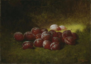Carducius Plantagenet Ream - Purple Plums.webp