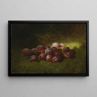 Carducius Plantagenet Ream - Purple Plums.webp