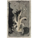 Maalauksen jäljennös Fleur orkidea 1874 1945 - Carel Adolph Lion Cachet