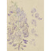 Maalauksen jäljennös Glycine-maalaus - Carel Adolph Lion Cachet