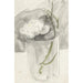 Maalauksen jäljennös Fleur blanc dans un verre - Carel Adolph Lion Cachet