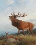 Un cerf bramant - Carl Friedrich Deiker — näkymä teoksesta