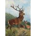 Cerf hallitseva - Carl Friedrich Deiker — näkymä teoksesta