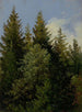 Sapins - Carl Gustav Carus — näkymä teoksesta