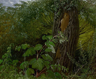 Pajuoksan runko ja aluskasvillisuus - Carl Gustav Carus — näkymä teoksesta
