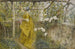 La Vigne - Carl Larsson — näkymä teoksesta