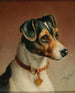 Portrait d'un Jack Russell Terrier - Carl Reichert — näkymä teoksesta