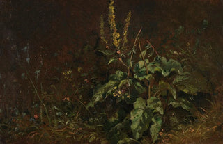 Carl Spitzweg - Stauden Knigskerzen und Grser.webp
