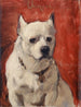 Le chien chinois - Carolus-Duran — näkymä teoksesta