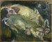 The pigs - Chaïm Soutine — näkymä teoksesta