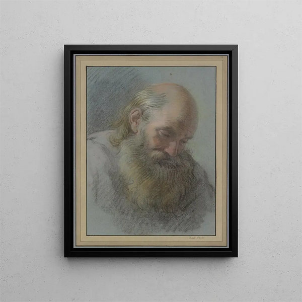 Tête d'un vieil homme barbu - Charles André van Loo — kehystetty taideteos seinällä