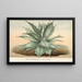 Agave Verschaffelti - Charles Antoine Lemaire — kehystetty taideteos seinällä