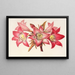 Amaryllis Belladonna - Charles Antoine Lemaire — kehystetty taideteos seinällä