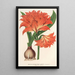 Amaryllis Hippeastrum Alberti - Charles Antoine Lemaire — kehystetty taideteos seinällä