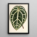 Maalauksen jäljennös Anthurium crystallinum - Charles Antoine Lemaire
