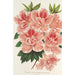 Azalea indica - Charles Antoine Lemaire — näkymä teoksesta
